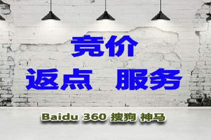 SEM外包公司案例：打造个性化营销方案